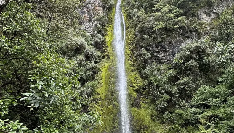 Dog Stream Waterfall Hanmer Springs