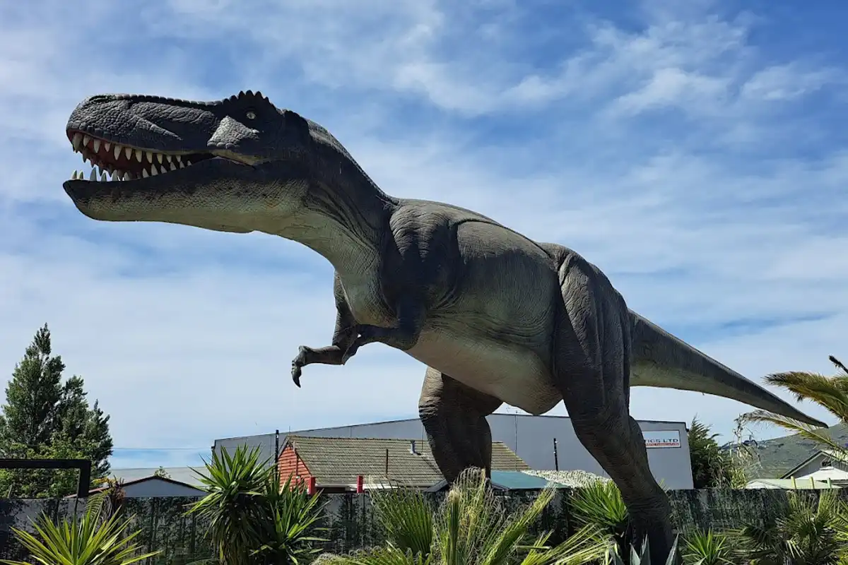 10 Exciting Activities for Kids in Christchurch You Can’t Miss